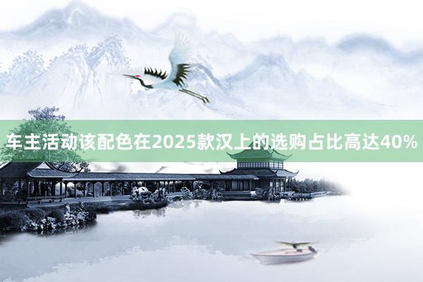 车主活动该配色在2025款汉上的选购占比高达40%