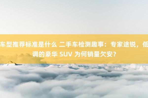 车型推荐标准是什么 二手车检测趣事：专家途锐，低调的豪华 SUV 为何销量欠安？