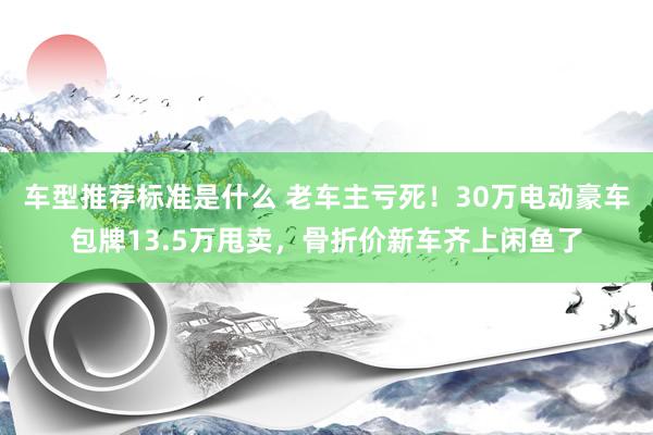 车型推荐标准是什么 老车主亏死！30万电动豪车包牌13.5万甩卖，骨折价新车齐上闲鱼了