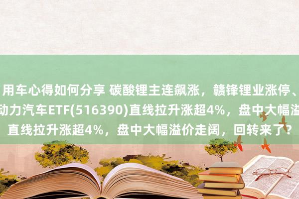 用车心得如何分享 碳酸锂主连飙涨，赣锋锂业涨停、宁德期间涨3%，新动力汽车ETF(516390)直线拉升涨超4%，盘中大幅溢价走阔，回转来了？