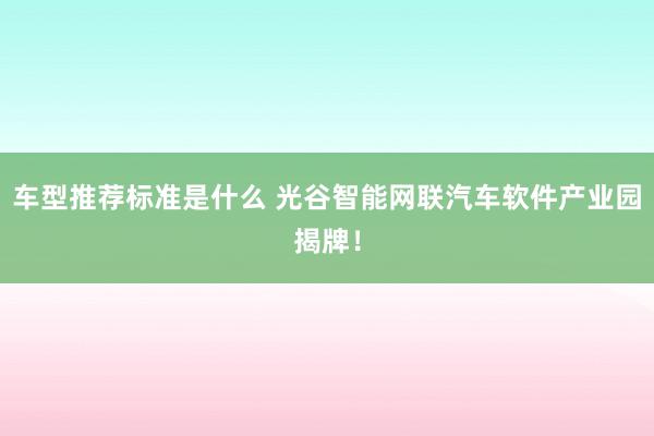 车型推荐标准是什么 光谷智能网联汽车软件产业园揭牌！