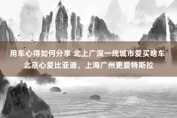 用车心得如何分享 北上广深一线城市爱买啥车 北京心爱比亚迪、上海广州更爱特斯拉