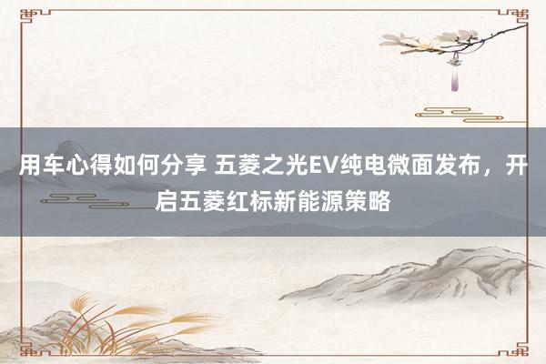 用车心得如何分享 五菱之光EV纯电微面发布，开启五菱红标新能源策略