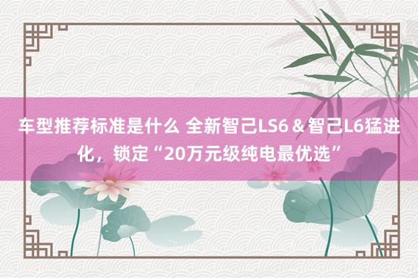 车型推荐标准是什么 全新智己LS6＆智己L6猛进化，锁定“20万元级纯电最优选”