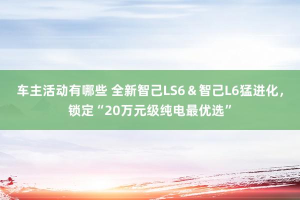 车主活动有哪些 全新智己LS6＆智己L6猛进化，锁定“20万元级纯电最优选”