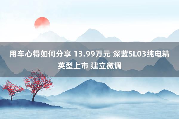 用车心得如何分享 13.99万元 深蓝SL03纯电精英型上市 建立微调