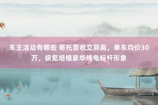 车主活动有哪些 寄托营收立异高，单车均价30万，极氪培植豪华纯电标杆形象