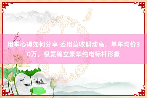 用车心得如何分享 委用营收调动高，单车均价30万，极氪确立豪华纯电标杆形象