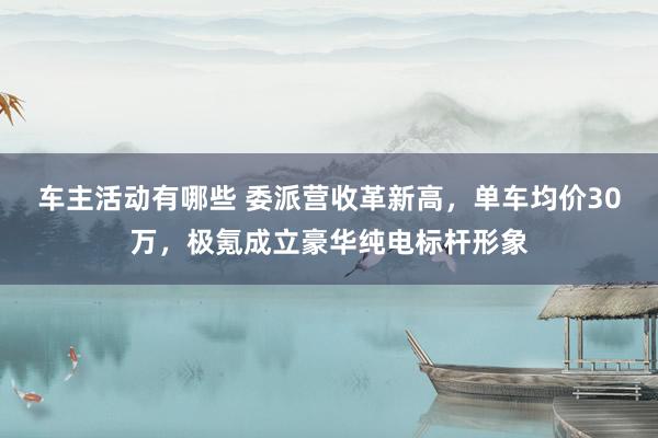 车主活动有哪些 委派营收革新高，单车均价30万，极氪成立豪华纯电标杆形象