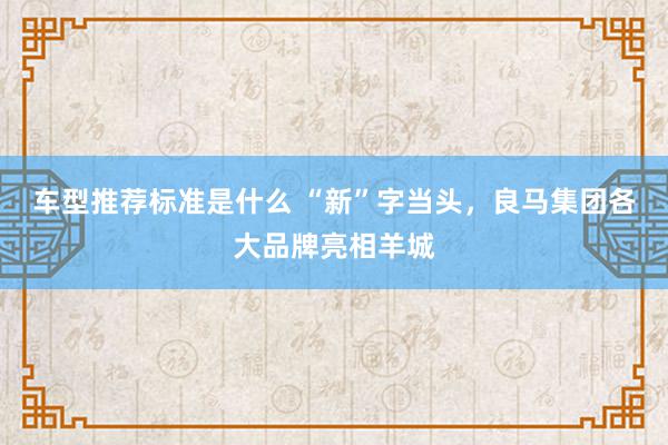 车型推荐标准是什么 “新”字当头，良马集团各大品牌亮相羊城