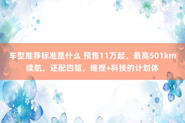 车型推荐标准是什么 预售11万起，最高501km续航，还配四驱，维捏+科技的计划体