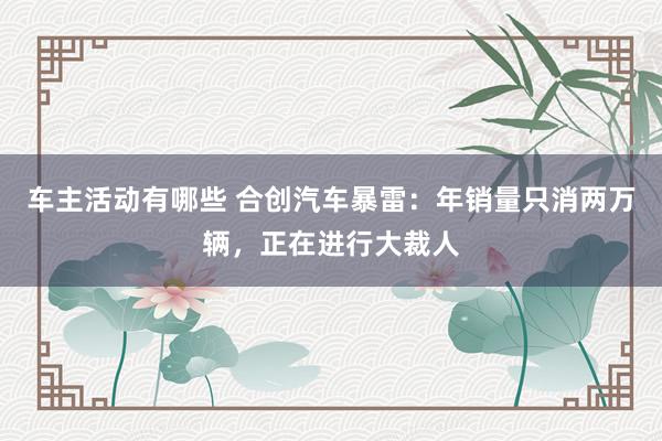 车主活动有哪些 合创汽车暴雷：年销量只消两万辆，正在进行大裁人