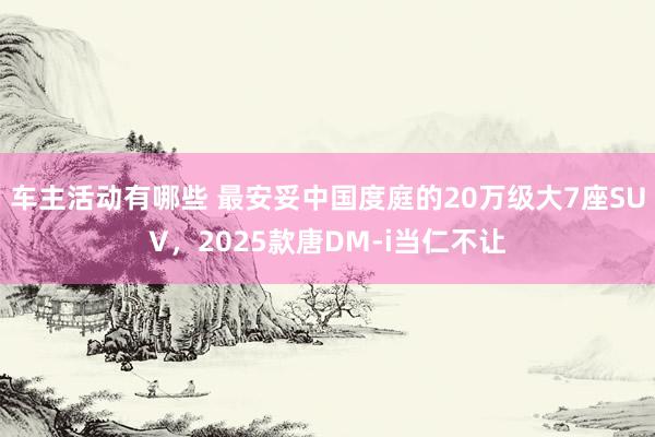 车主活动有哪些 最安妥中国度庭的20万级大7座SUV，2025款唐DM-i当仁不让