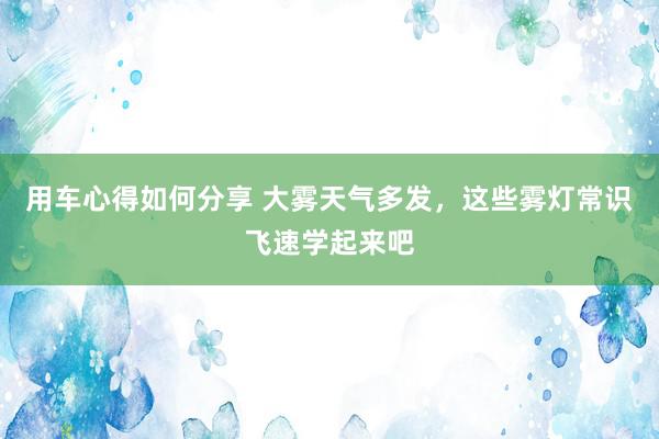 用车心得如何分享 大雾天气多发，这些雾灯常识飞速学起来吧