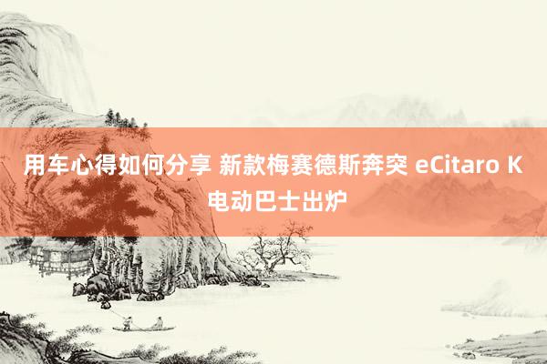 用车心得如何分享 新款梅赛德斯奔突 eCitaro K 电动巴士出炉