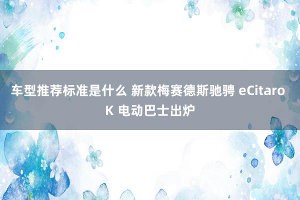 车型推荐标准是什么 新款梅赛德斯驰骋 eCitaro K 电动巴士出炉