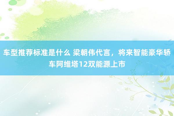 车型推荐标准是什么 梁朝伟代言，将来智能豪华轿车阿维塔12双能源上市