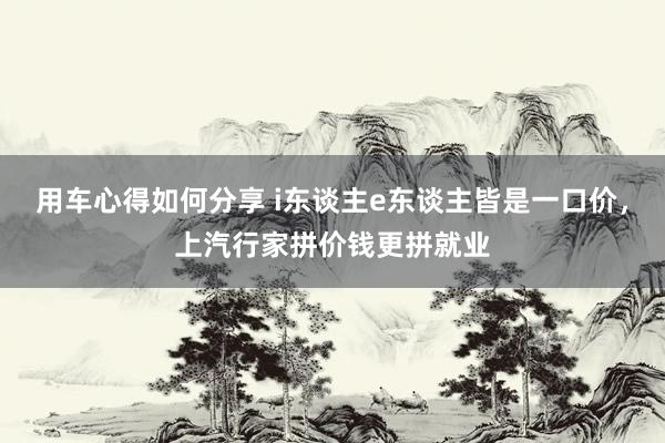 用车心得如何分享 i东谈主e东谈主皆是一口价，上汽行家拼价钱更拼就业