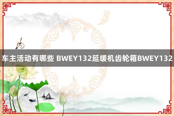 车主活动有哪些 BWEY132延缓机齿轮箱BWEY132