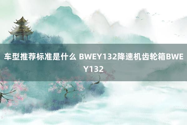 车型推荐标准是什么 BWEY132降速机齿轮箱BWEY132