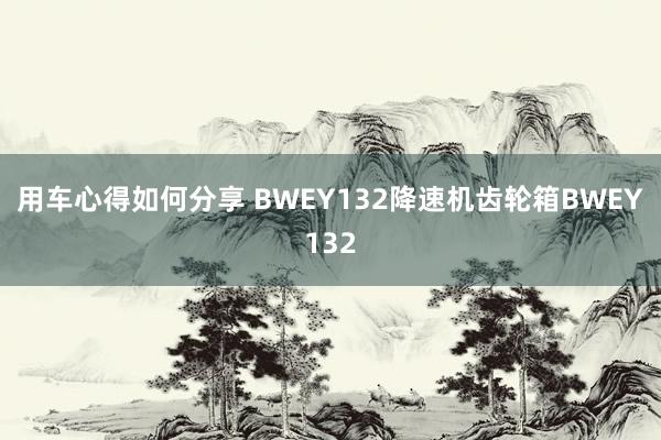 用车心得如何分享 BWEY132降速机齿轮箱BWEY132