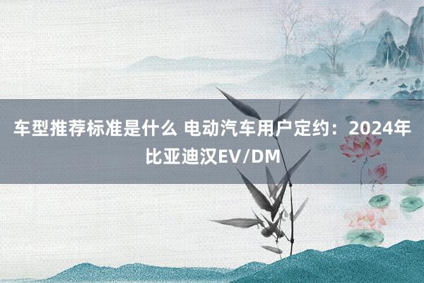 车型推荐标准是什么 电动汽车用户定约：2024年比亚迪汉EV/DM