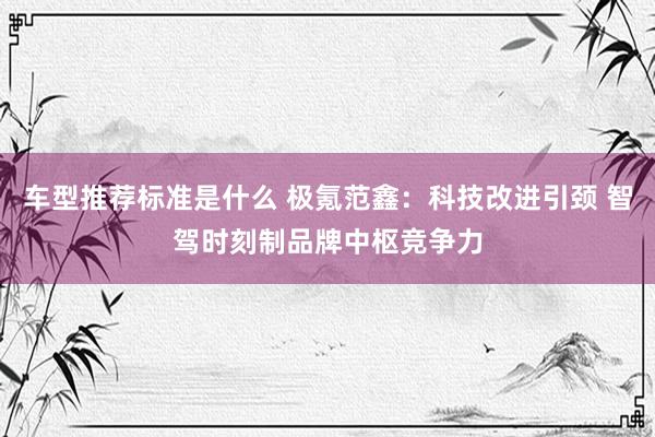 车型推荐标准是什么 极氪范鑫：科技改进引颈 智驾时刻制品牌中枢竞争力