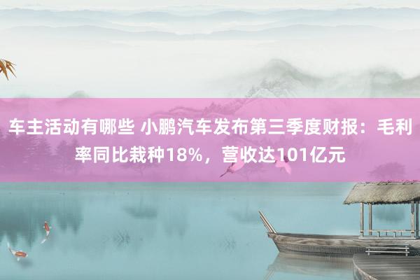 车主活动有哪些 小鹏汽车发布第三季度财报：毛利率同比栽种18%，营收达101亿元