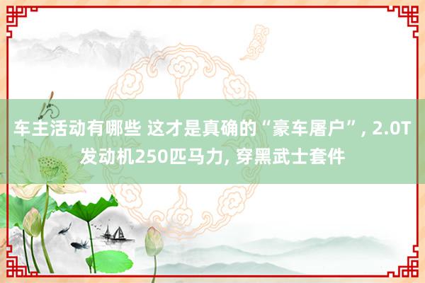 车主活动有哪些 这才是真确的“豪车屠户”, 2.0T发动机250匹马力, 穿黑武士套件