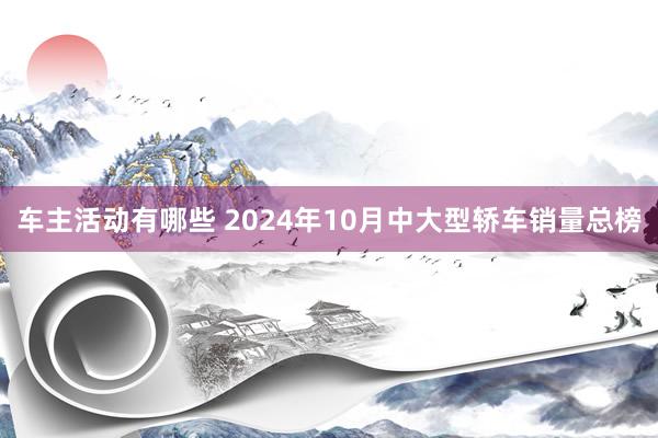 车主活动有哪些 2024年10月中大型轿车销量总榜