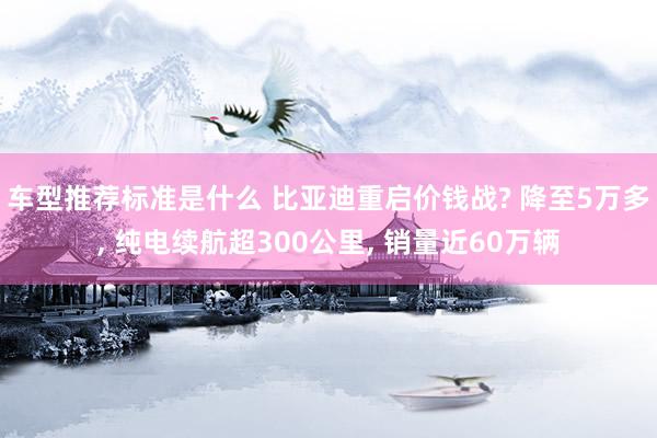 车型推荐标准是什么 比亚迪重启价钱战? 降至5万多, 纯电续航超300公里, 销量近60万辆