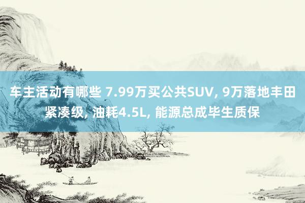 车主活动有哪些 7.99万买公共SUV, 9万落地丰田紧凑级, 油耗4.5L, 能源总成毕生质保