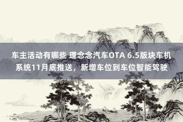 车主活动有哪些 理念念汽车OTA 6.5版块车机系统11月底推送，新增车位到车位智能驾驶