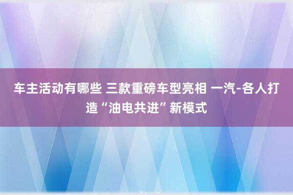 车主活动有哪些 三款重磅车型亮相 一汽-各人打造“油电共进”新模式