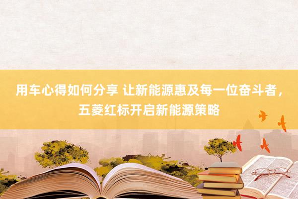 用车心得如何分享 让新能源惠及每一位奋斗者，五菱红标开启新能源策略