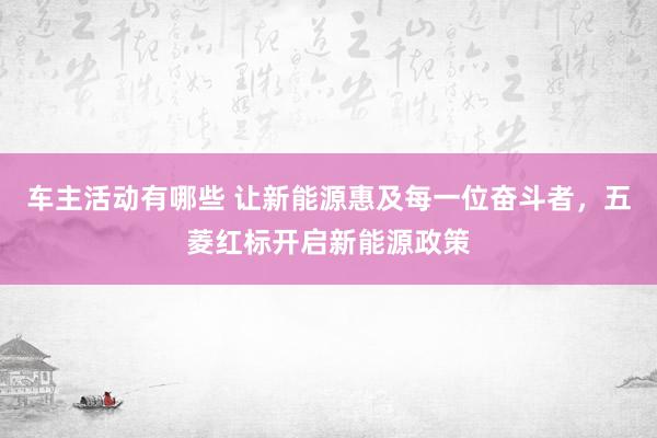 车主活动有哪些 让新能源惠及每一位奋斗者，五菱红标开启新能源政策