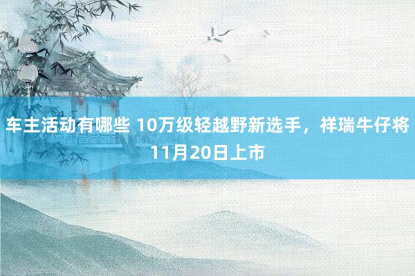 车主活动有哪些 10万级轻越野新选手，祥瑞牛仔将11月20日上市