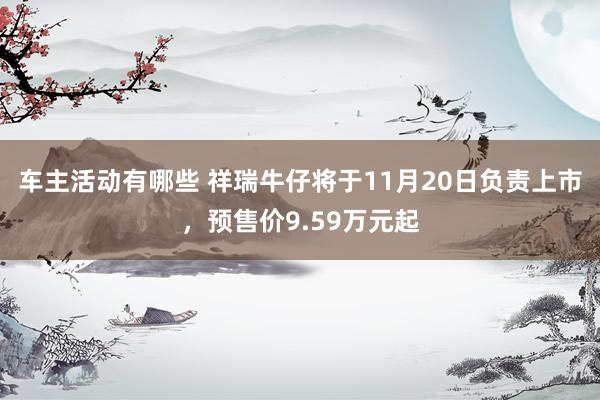 车主活动有哪些 祥瑞牛仔将于11月20日负责上市，预售价9.59万元起